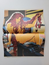 New Titans 93 1992 Adam Hughes Sexy Starfire Pin-up Centerfold Poster & Shower