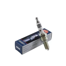 NGK Spark Plug 4218