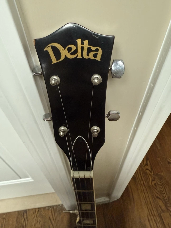 Banjo Delta 5 Cuerdas con Estuche Rígido y Correa En Excelente Estado Foto 2 de 4