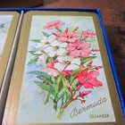 Picture 4 of 6