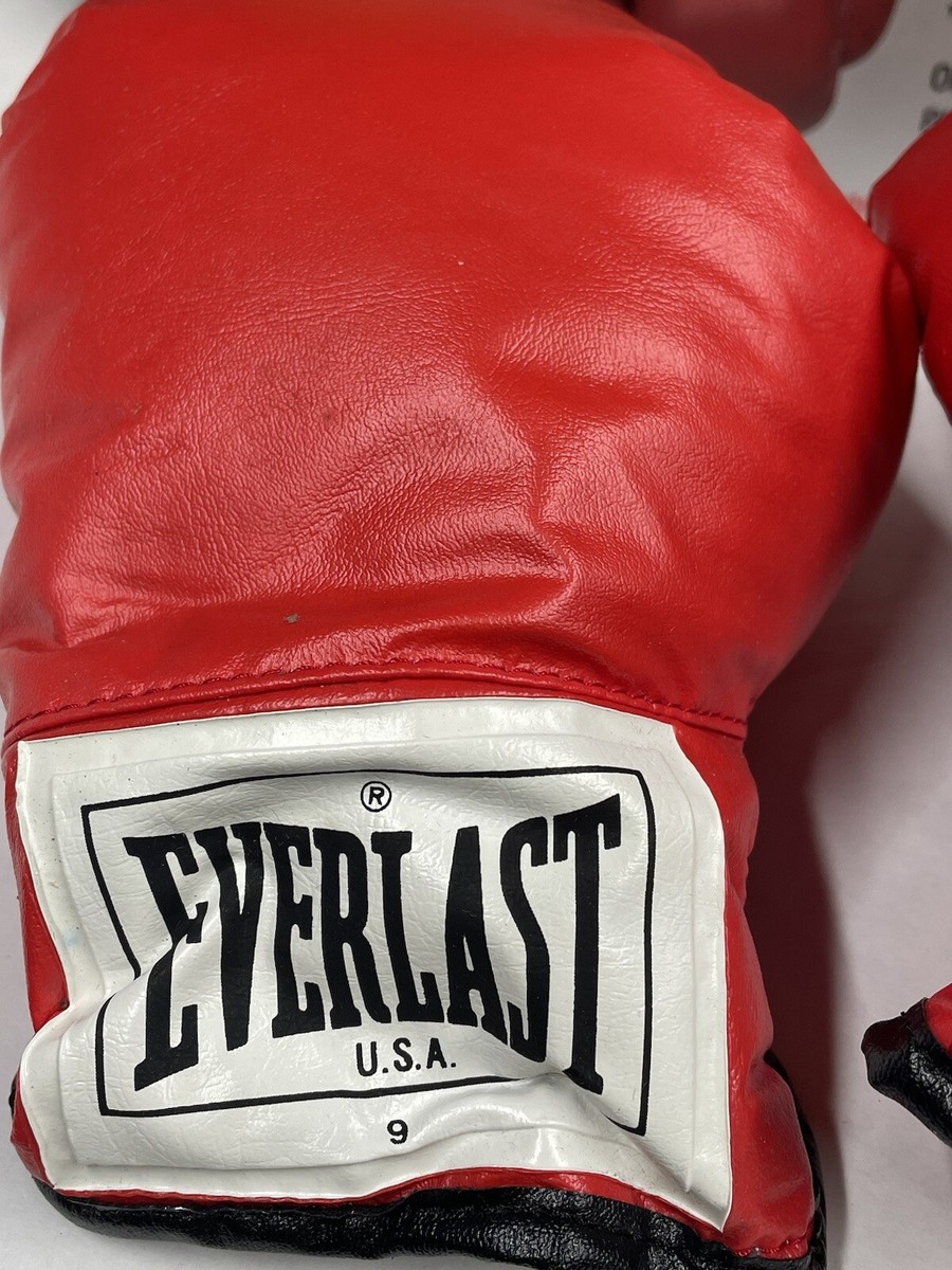 90s USA製 Everlast 本革14oz グローブ 2 Pairs Vintage EVERLAST BOXING GLOVES 14 Oz - Made In USA Model