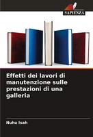 Nuhu Isah | Effetti Dei Lavori Di Manutenzione Sulle Prestazioni Di Una Galleria