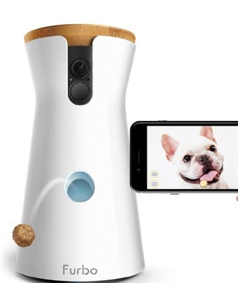 dog throwing up pink foam