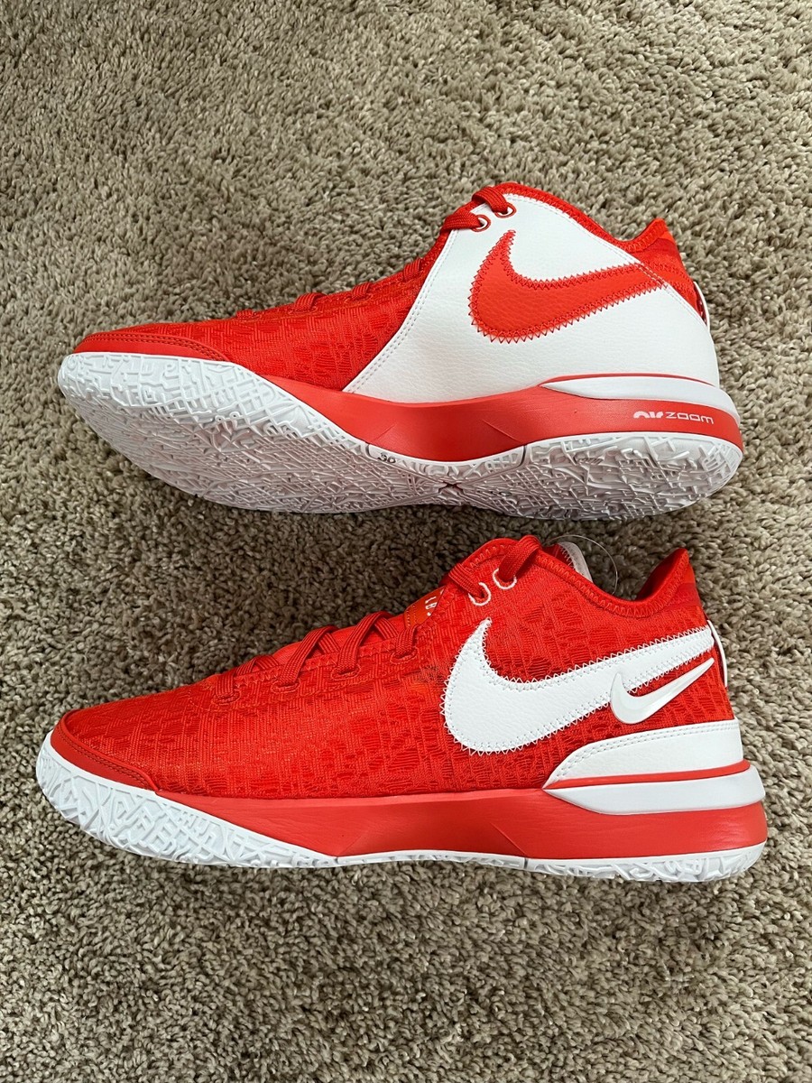 Men's Nike Zoom LeBron NXXT Gen TB Promo Team Player Orange