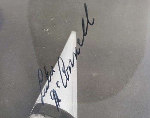 Hollywood Photograph Autographed "It Pays To Be Ignorant" - Picture 5 of 6