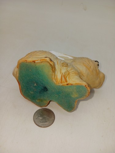 Vintage Japan Stoneware Rabbit Buldging Bugged Out Crazy Eye Bunny Oddity Figure - Picture 5 of 5