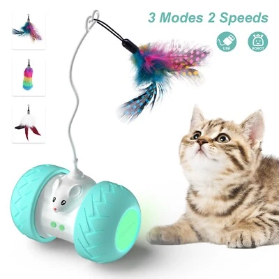 CA&T Automatic Cat Toys