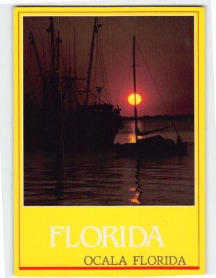 #ad Postcard Ocala Florida USA $4.95