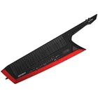 Roland AX-EDGE-B 49 Key Portable Synthesizer Black Red Keyboard From Japan Music