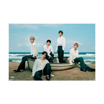 TOMORROW X TOGETHER - TEMPTATION FAREWELL POSTER - 22x34 - 25686