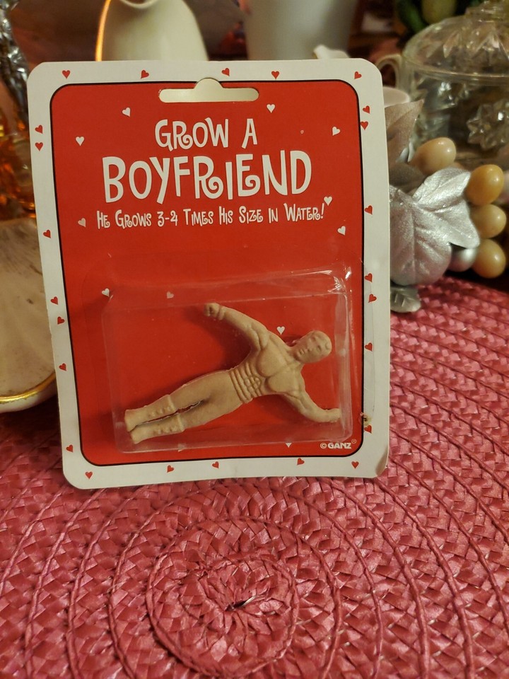 New Old Stock NIB Grow a Boyfriend great gag gift!! eBay