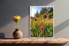 Photo Digital Image Picture Wallpaper Background Grasp field JPG Wall Art Flower