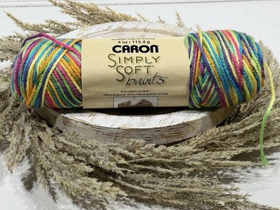 Caron Simply Soft Paints 4 Oz Rainbow Bright 0016 Acrylic Yarn