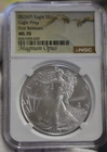 2025P American Silver Eagle - Eagle Privy NGC MS70 Magnus Opus 1st Rel