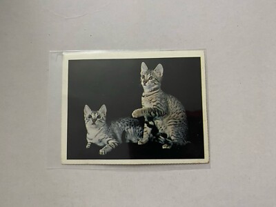 National Geographic World Egyptian Mau 1980 Series Educational Trading Card