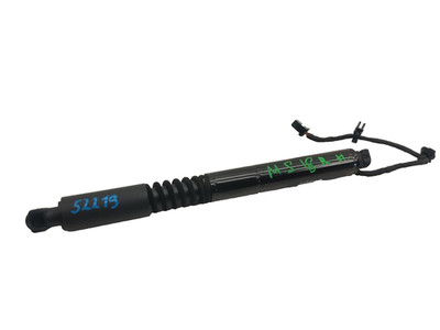   2016-2023 Model X Rear Right Secondary Falcon Door Lift Gas Strut 1063441-00-C