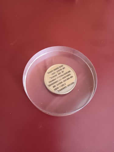 SCOUTS SYMBOL & EID BRIEFBESCHWERER - Bild 3 von 5