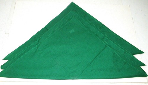 NEW Evergreen 100% Cotton Bandanas 3 pieces 22" Square - 第 1/1 張圖片