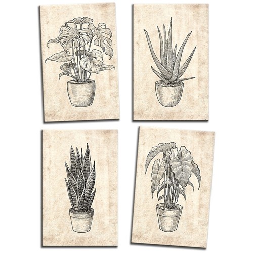 Botanical Illustration Monstera Floral MULTI CANVAS WALL ART Picture Print - 第 1/1 張圖片