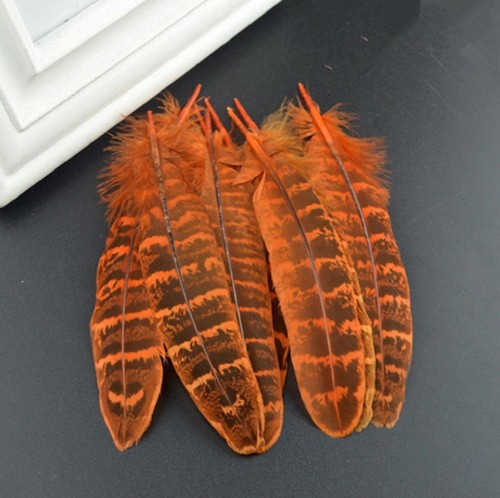 Pheasant Feathers 10-15cm Colour Fly Craft Hat Arts Decorations Wedding UK - Picture 13 of 22