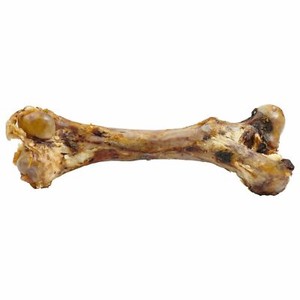 giant dog bone