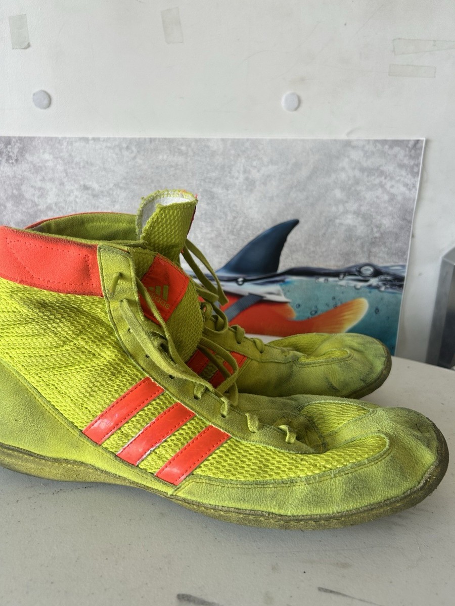 Wrestler Adidas David Taylor Wrestling Shoes Adidas Combat Speed