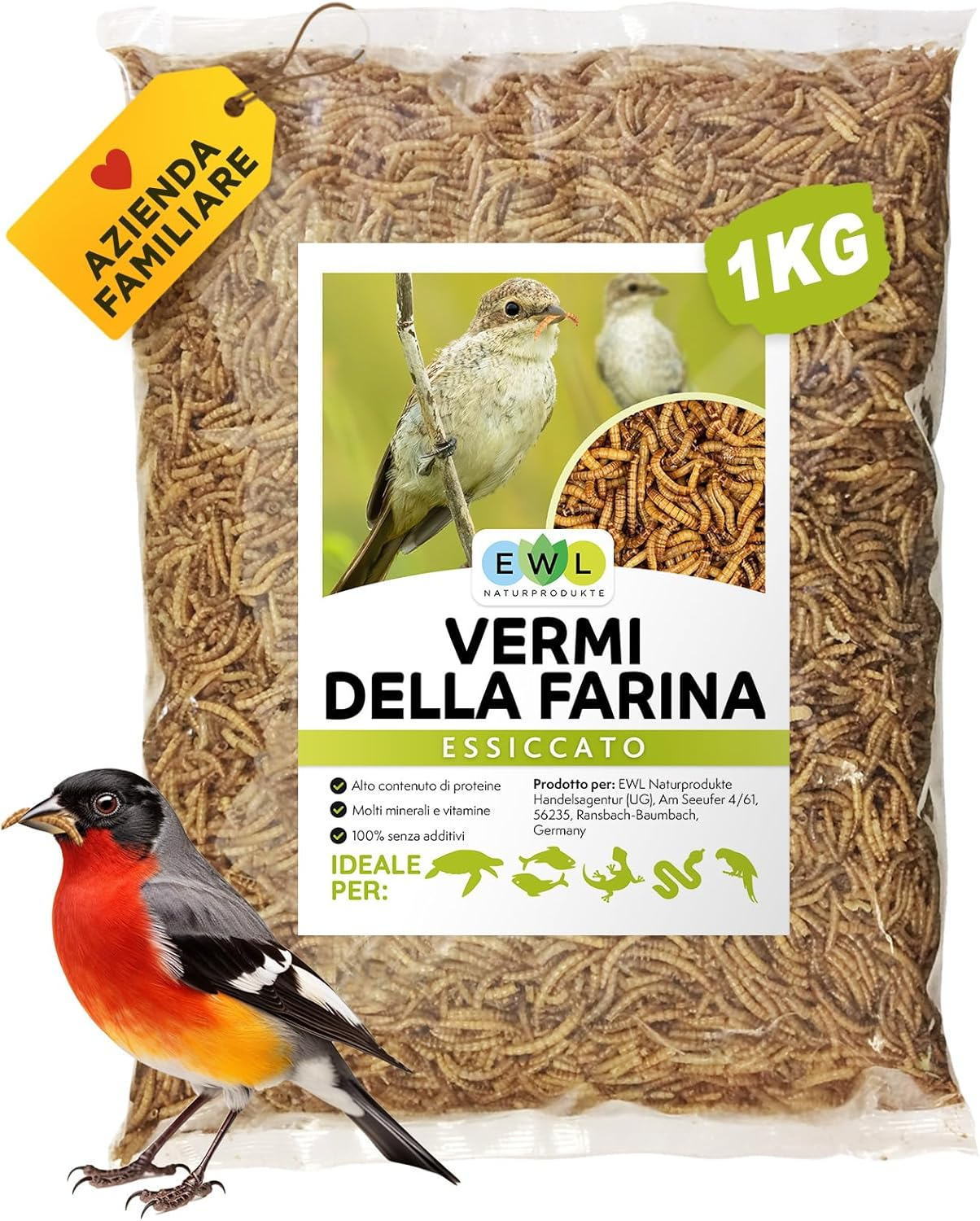 Foto 1 di 12