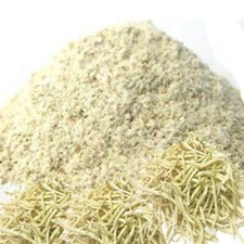 Bezpieczny mięsień biały chlorophytum Borivilianum indyjski pająk w proszku 60g