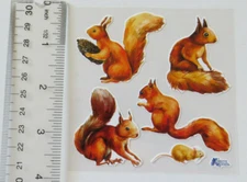 Violette Stickers - SQUIRRELS - 4x4 Square Sheet od Stickers #K146 