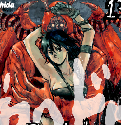 Dorohedoro Volume 13 Cover Art – 11x17
