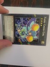 Foto 5 di 8
