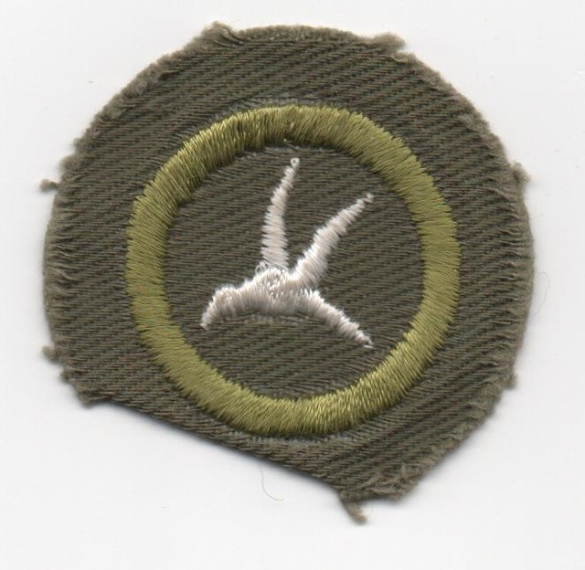 Bird Study Merit Badge Type E Khaki Narrow Crimped 1947 60 Mint EBay