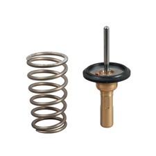 Thermostat Toyota IQ