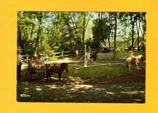 BRUNEMONT (59) ENFANTS au