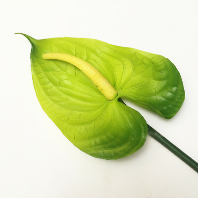 (12) Realistic 21" GREEN Anthurium Stem Flower Floral Tropical Artificial  Fake | eBay