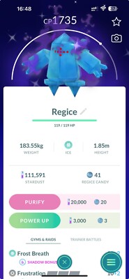 Shiny Shadow Regice - MlNl P T C - Read Description