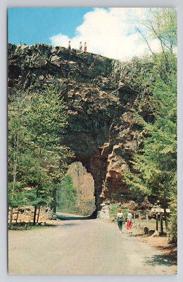 Backbone Rock Recreation Area near Damascus Virginia Postcard