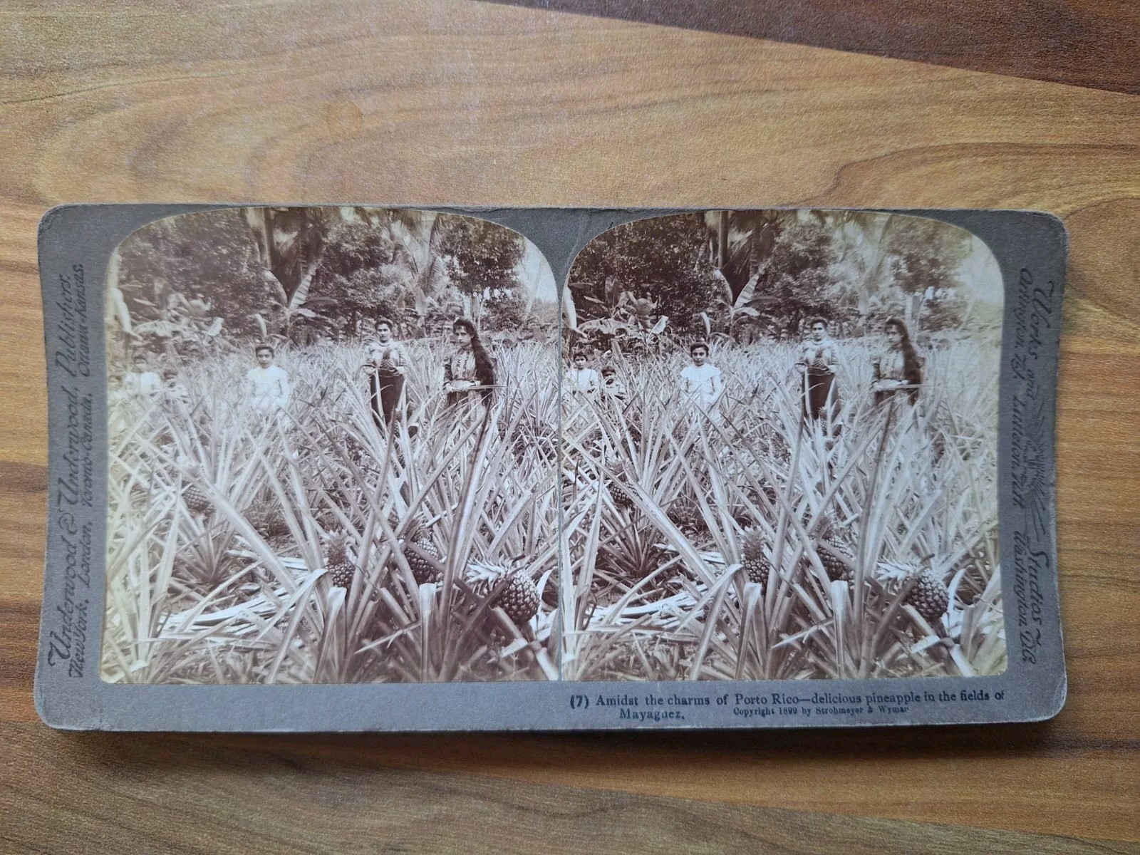 Picture 1
