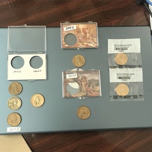 Nine Native American Coins Mixed Dates