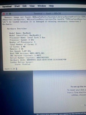 Apple MacBook 13 in 2008 Silver/Intel Core 2 Duo 2.00 GHz, 160 GB 2 GB NVIDIA...