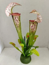 Pitcher plant and Venus Flytrap Decoration