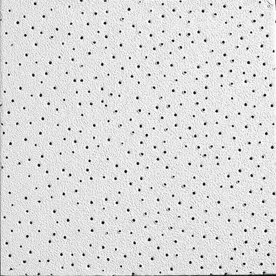 Armstrong 869B Vl Perforated Ceiling Tile, 24 In W X 24 In L, Square Lay-In,