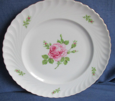 Royal Tettau Kuchenteller 19,5 cm Annette rosa Rose weitere Porzellan Teller