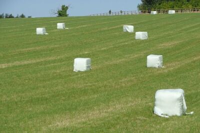 Foto 6x4 Silage kürzlich geschnitten Tidmarsh Dies ist eine Option.  Wrap it where c2008