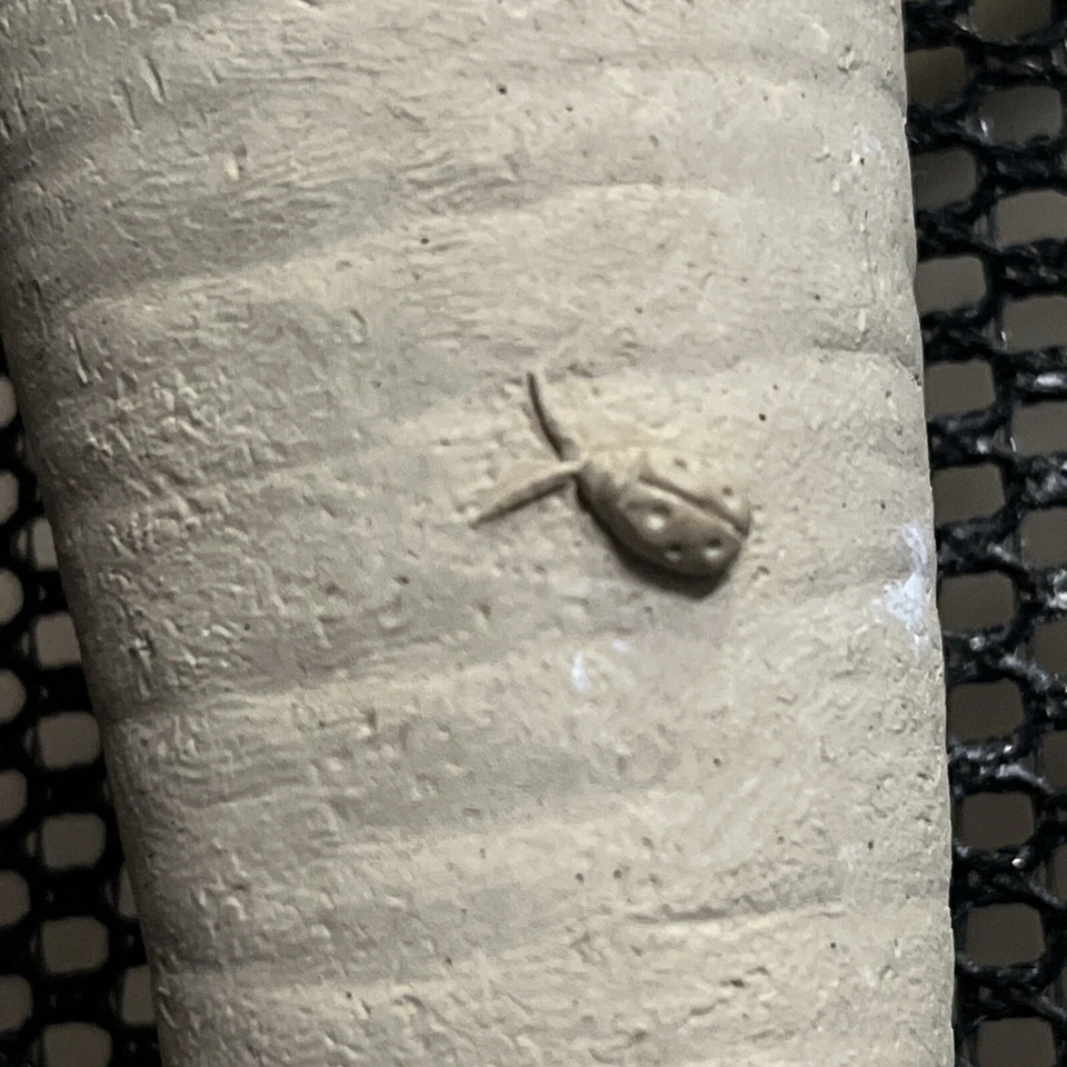 CARRUTH Studio Carrot Anthropomorphic Cement Bunny Bait Garden Wall Art 2005 - Image 4 of 4