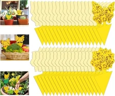 54-Pack Indoor Fruit Fly and Gnat Sticky Traps for Plants and Insects
