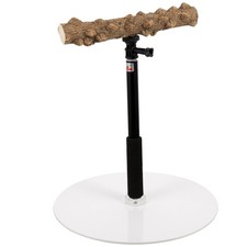 Adjustable Height Perch Bird Training Stand Parrot