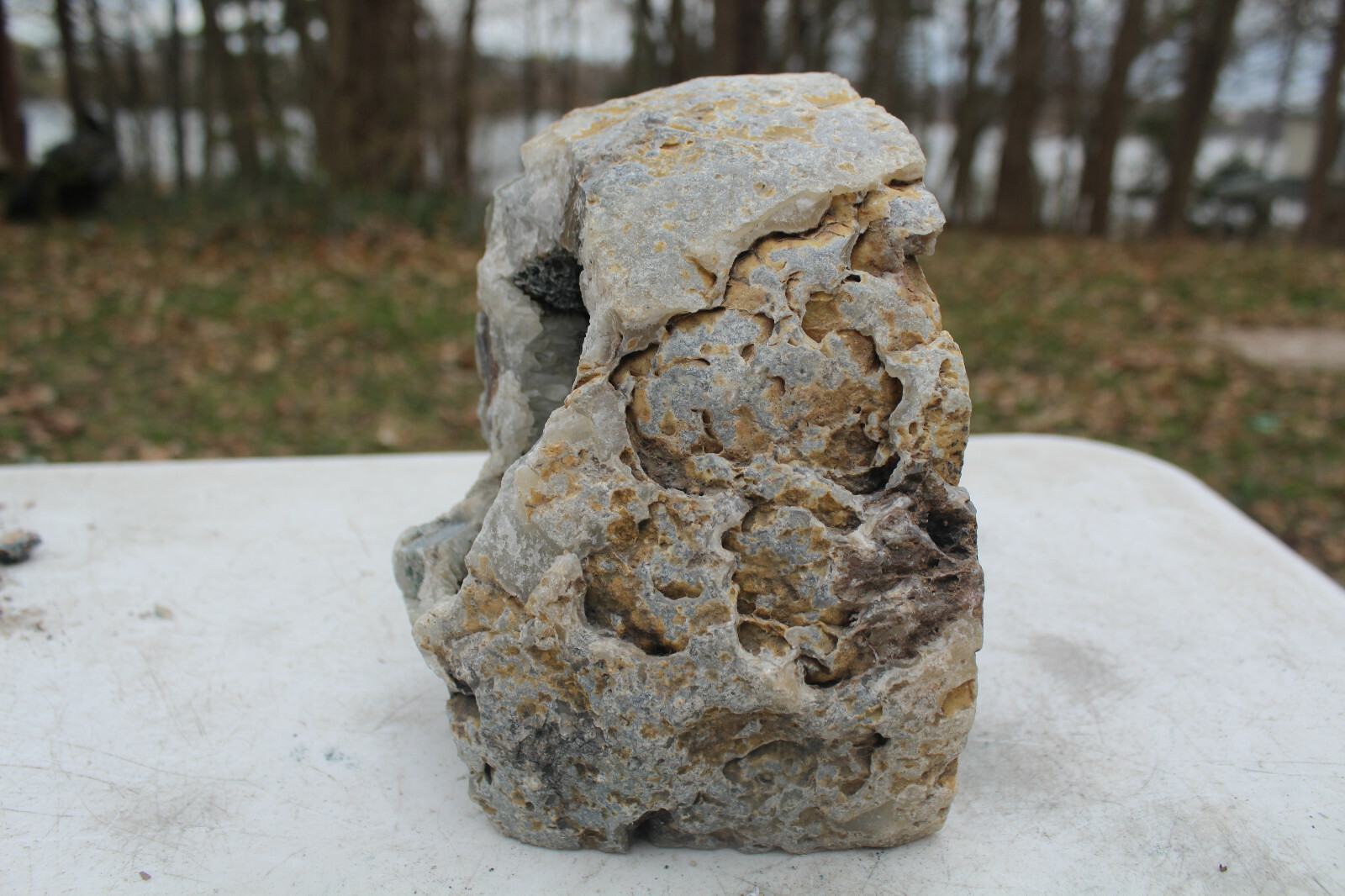 Picture 8 of 8