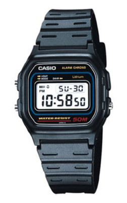 casio w50