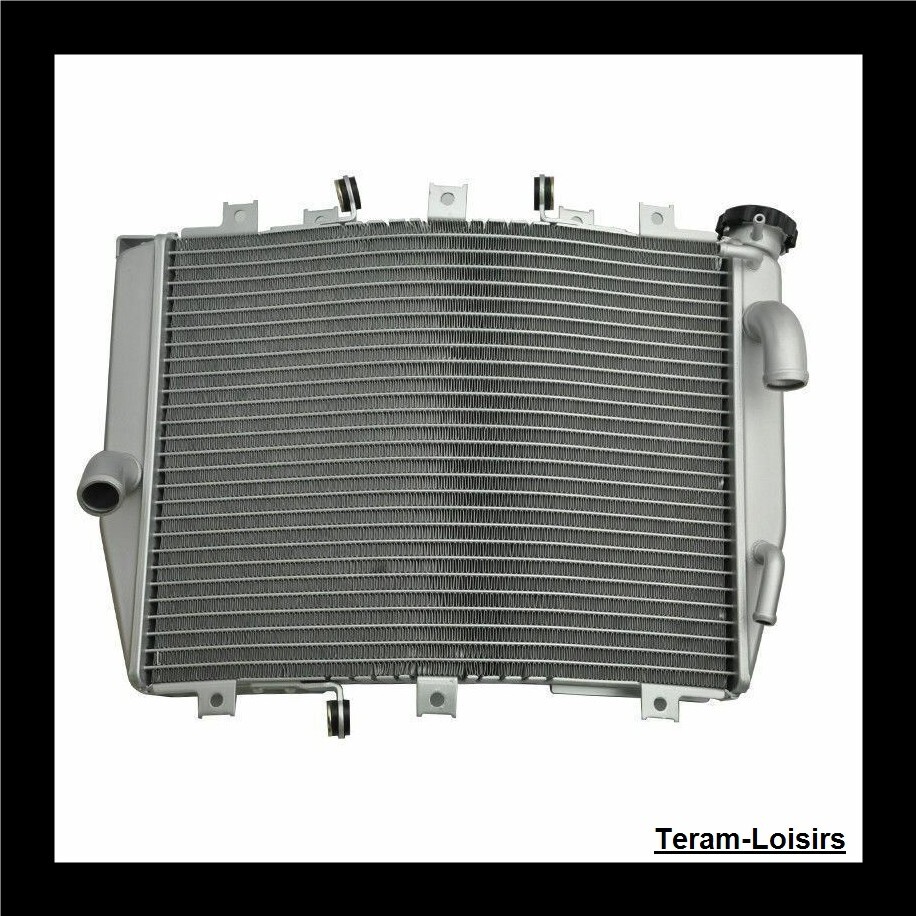 Radiator For Kawasaki ZX10R From 2004 To 2005 / Type 39061-0041
